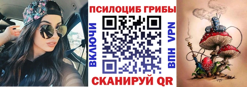 Псилоцибиновые грибы Psilocybe  Сибай 