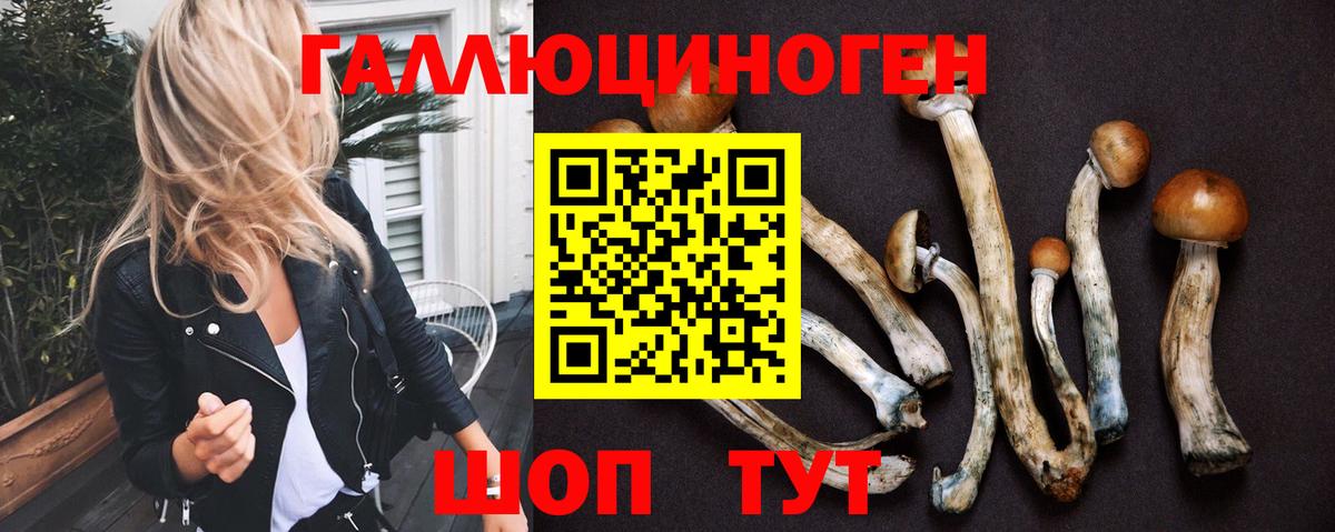Галлюциногенные грибы GOLDEN TEACHER Сибай